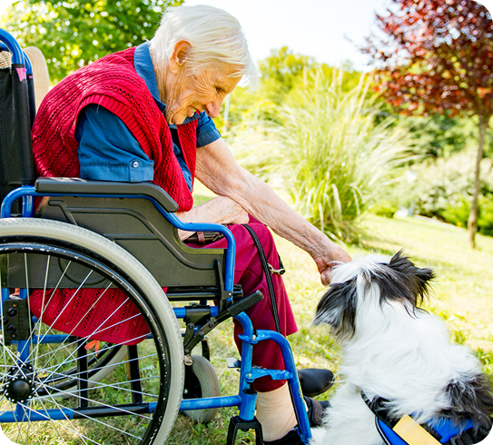 A senior woman in a wheelchair smiles as she pets a small dog outdoors.
