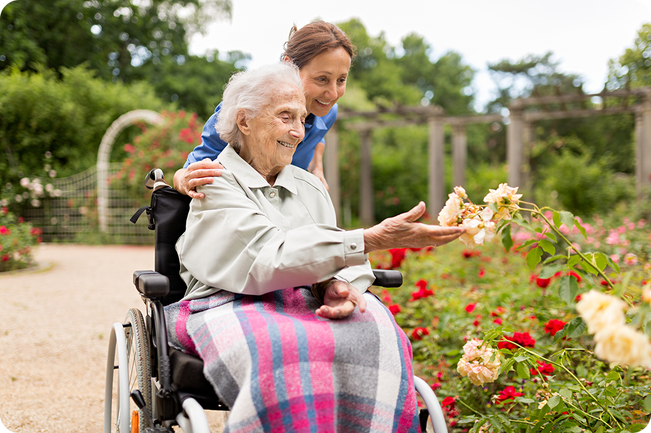 A smiling senior woman in a wheelchair reaches out to touch a flower in a rose garden as her caregiver stands behind her.