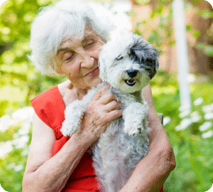 A senior woman with white hair holds a fluffy dog with a white and gray coat.