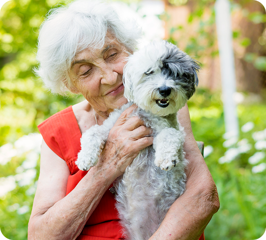 A senior woman with white hair holds a fluffy dog with a white and gray coat.