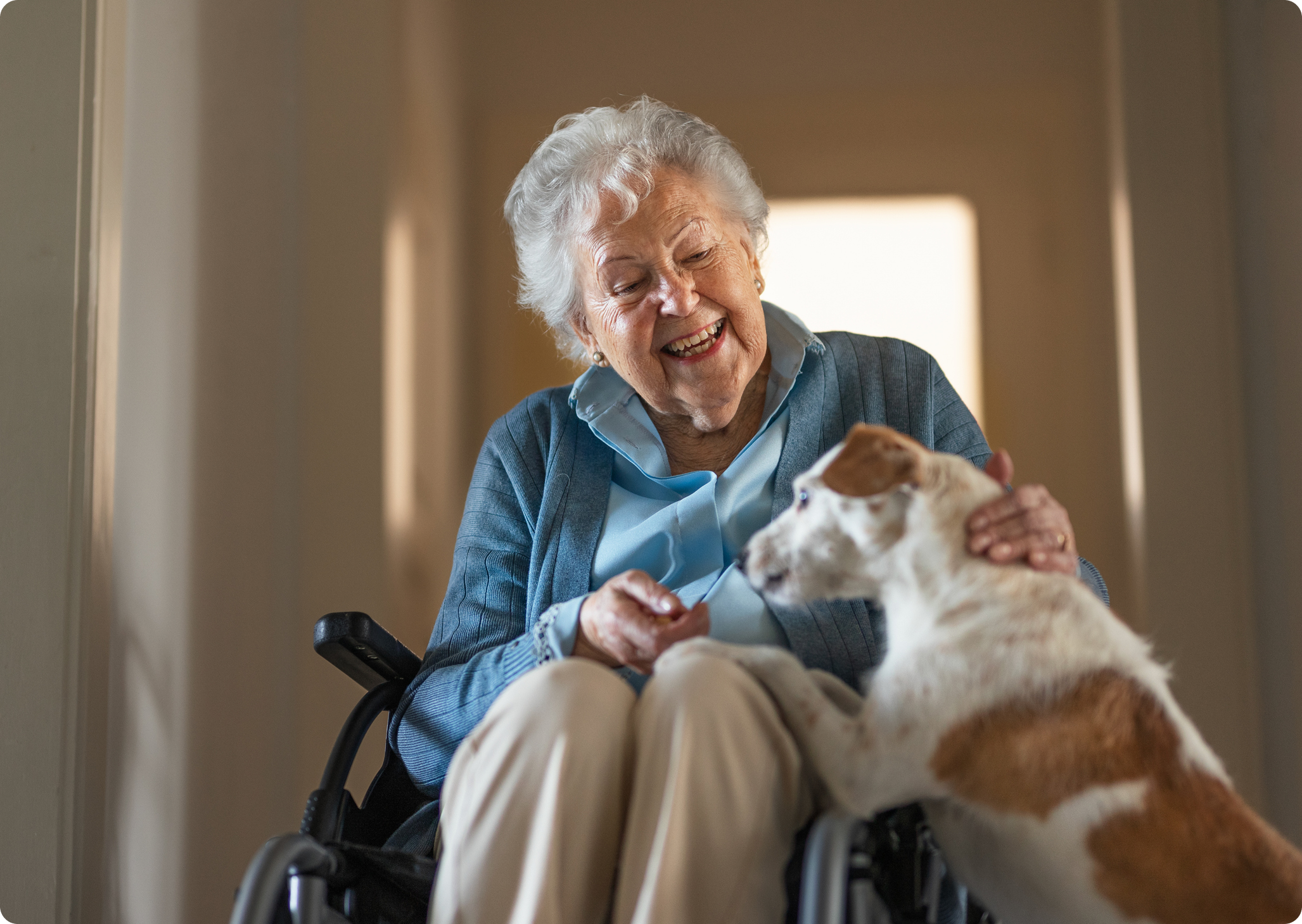 An elderly woman in a wheelchair smiles while interacting with a small dog in a well-lit corridor.